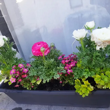 L'ultra Pause Au Coeur Du Viroin *