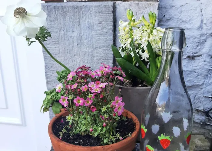 L'ultra Pause Au Coeur Du Viroin Homestay Olloy-sur-Viroin