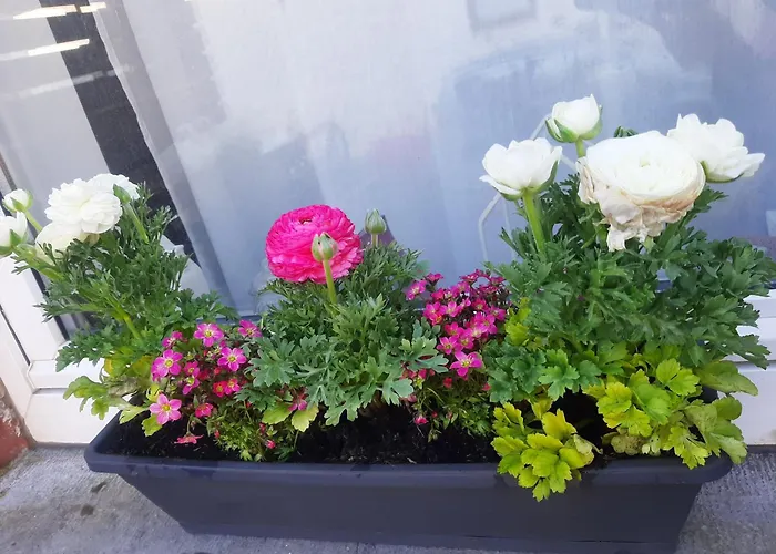 L'ultra Pause Au Coeur Du Viroin *