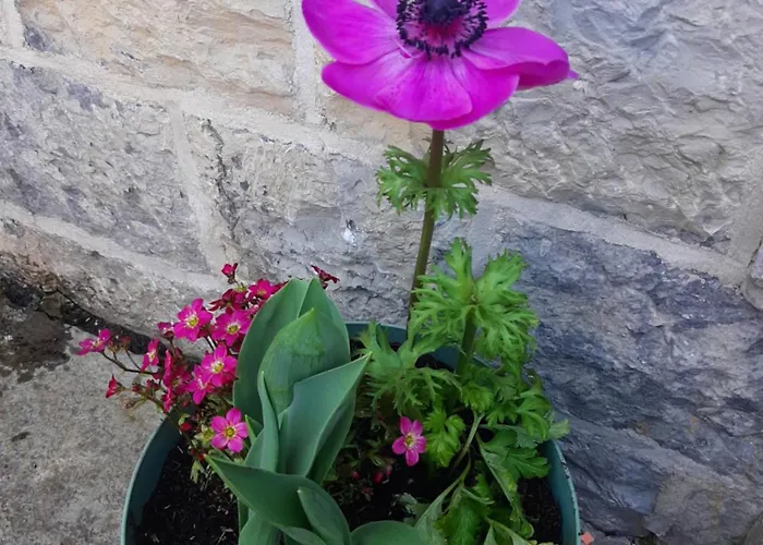 Homestay L'ultra Pause Au Coeur Du Viroin